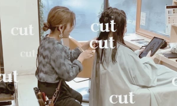 カット並走コース